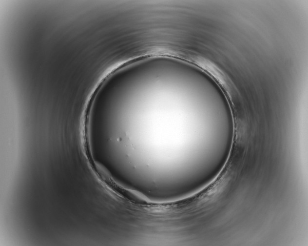 X0000094081048200710261303