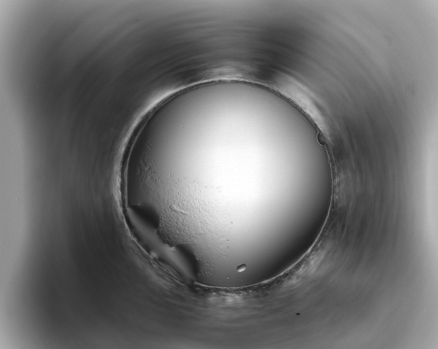 X0000094081051200710261303