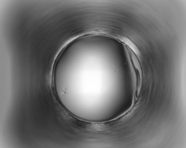 X0000094081052200710261303