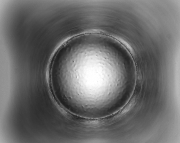 X0000094081054200710261303