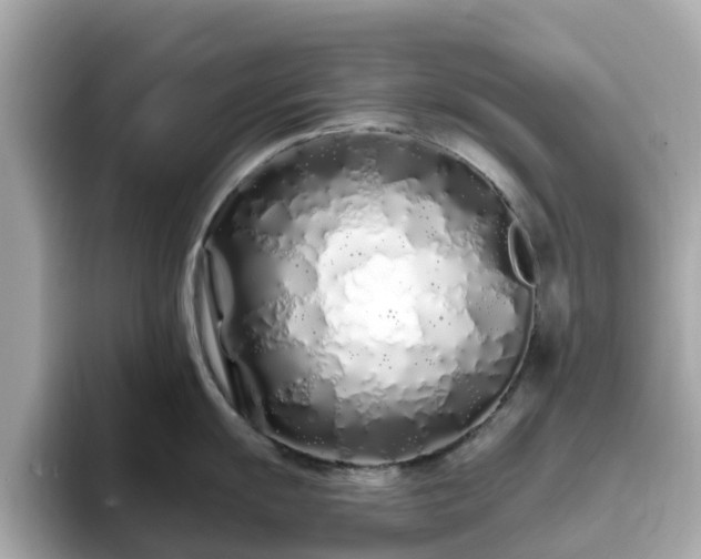 X0000094081055200710261303