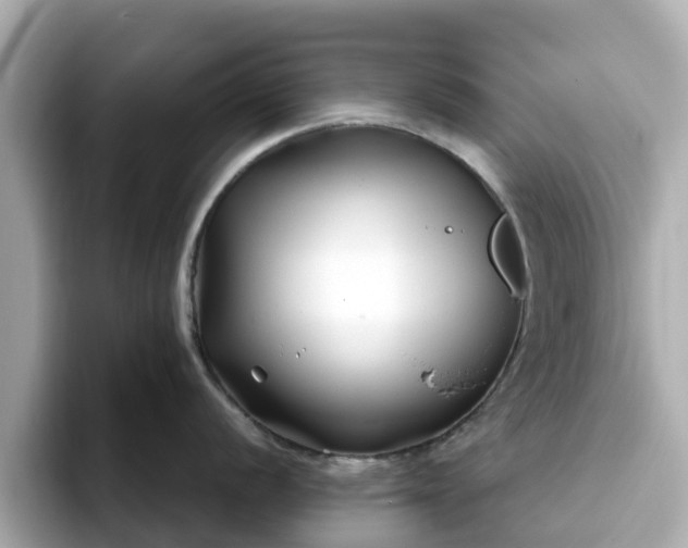 X0000094081056200710261303