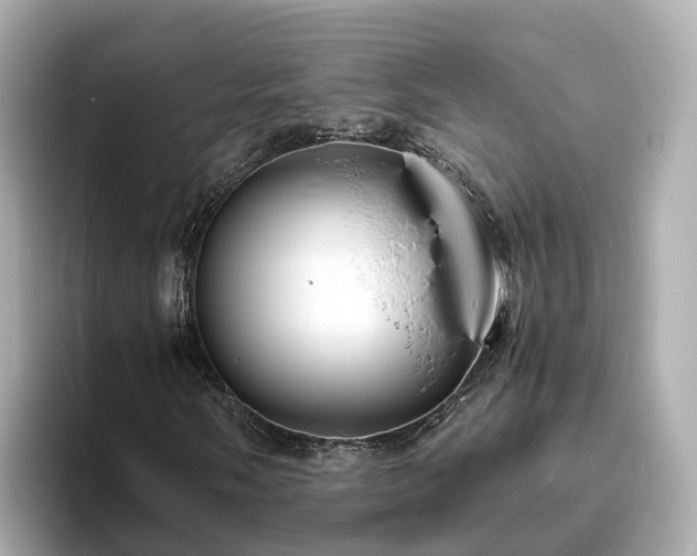 X0000094081058200710261302