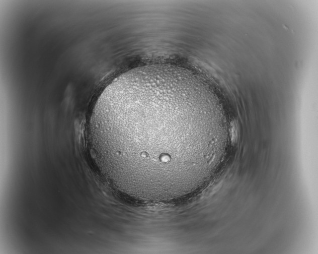 X0000094081059200710261302