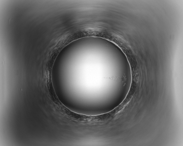 X0000094081061200710261302