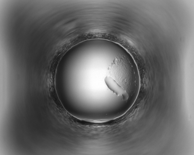 X0000094081062200710261302