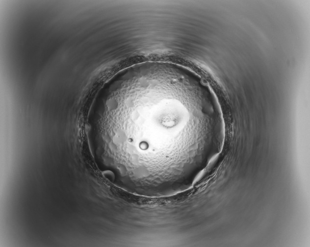 X0000094081063200710261302