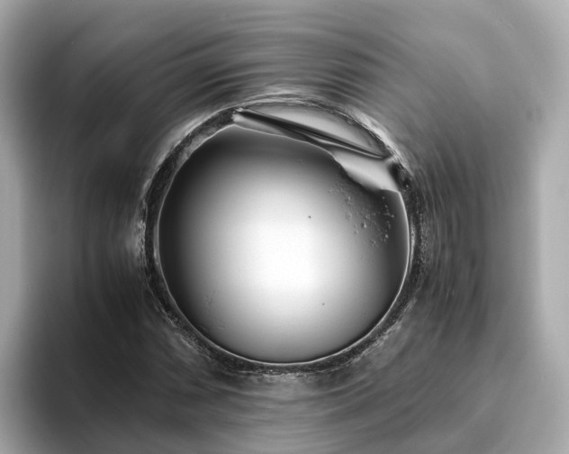 X0000094081066200710261302