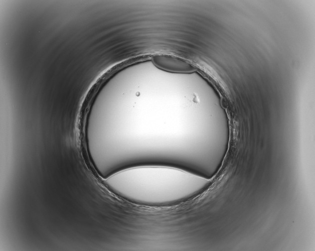 X0000094081068200710261302