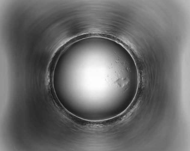 X0000094081070200710261302