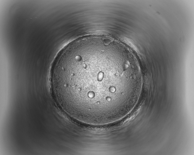 X0000094081071200710261302