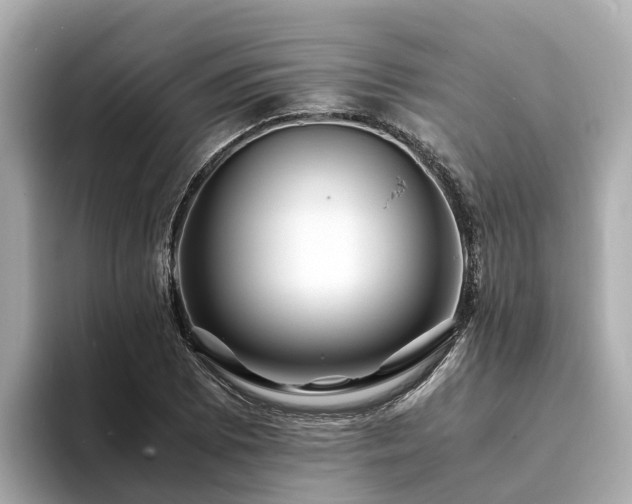 X0000094081073200710261302