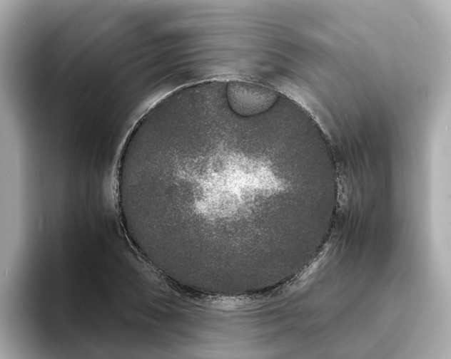 X0000094081074200710261302