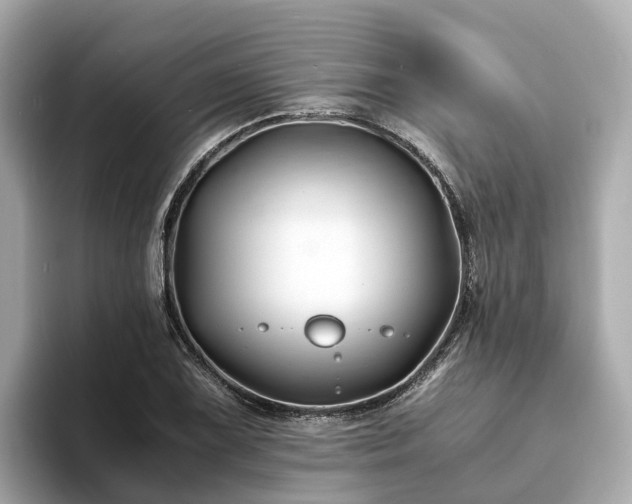 X0000094081075200710261302