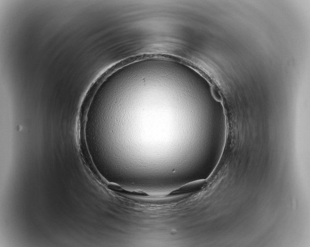 X0000094081076200710261302