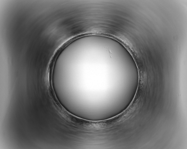 X0000094081078200710261302