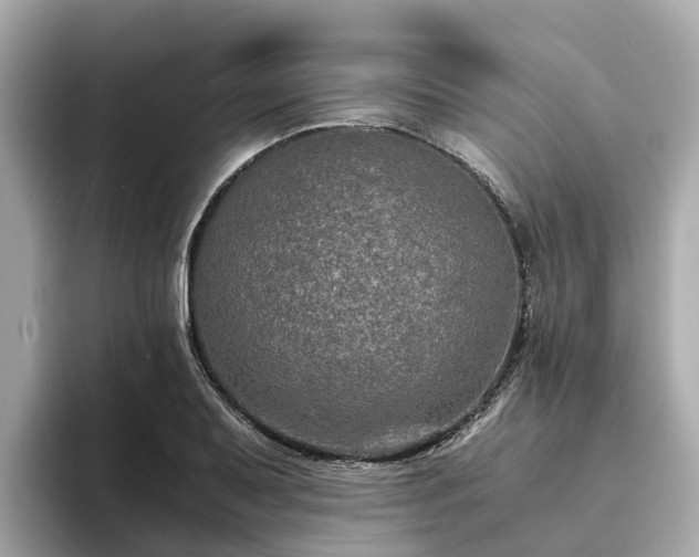 X0000094081079200710261302