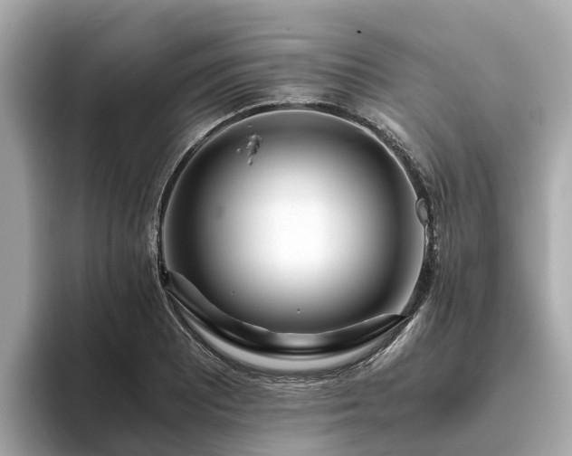 X0000094081081200710261302