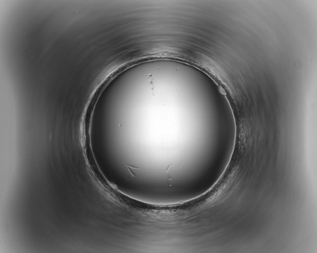 X0000094081082200710261302