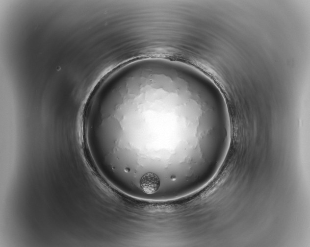 X0000094081083200710261302