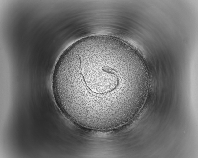 X0000094081086200710261302