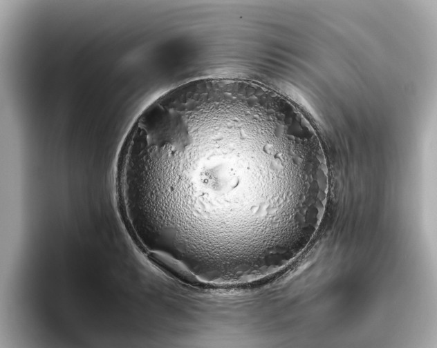 X0000094081087200710261302