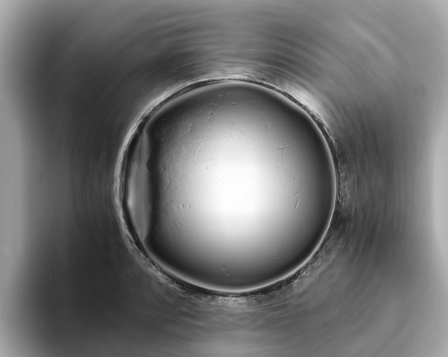 X0000094081088200710261302