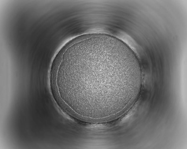 X0000094081094200710261302