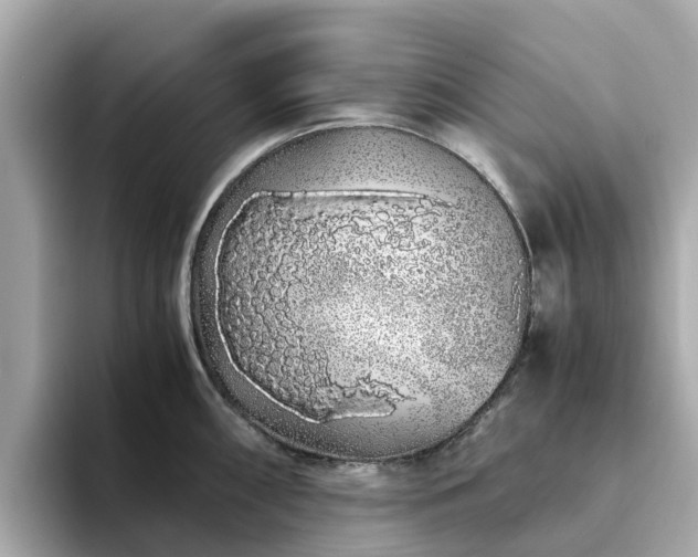 X0000094081098200710261302