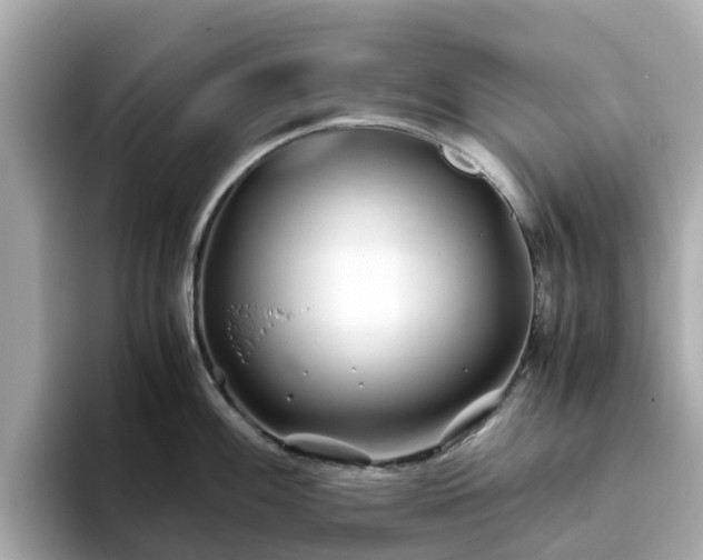 X0000094081100200710261302