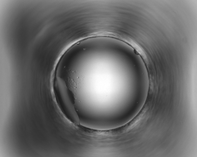 X0000094081102200710261302