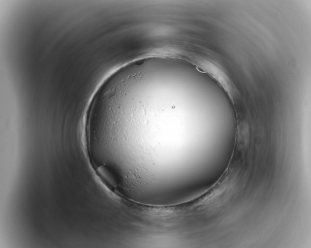 X0000094081103200710261302