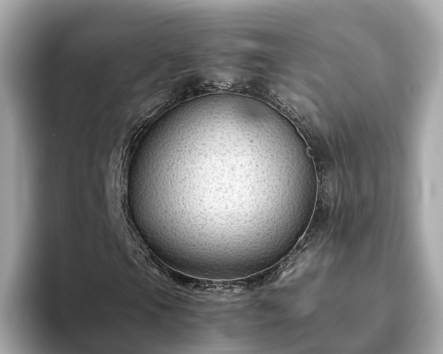 X0000094081105200710261301