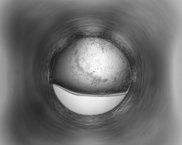 X0000094081108200710261301