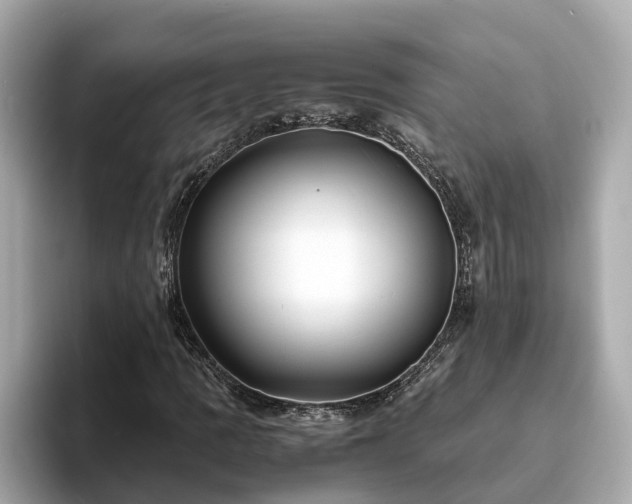 X0000094081109200710261301