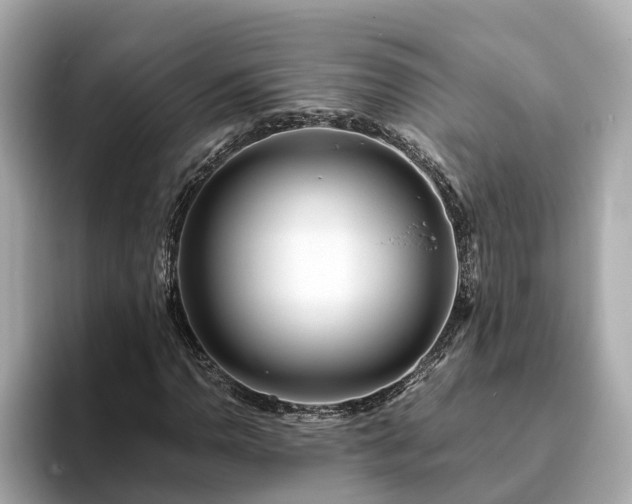 X0000094081110200710261301