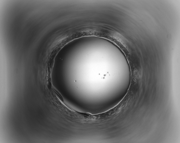 X0000094081111200710261301