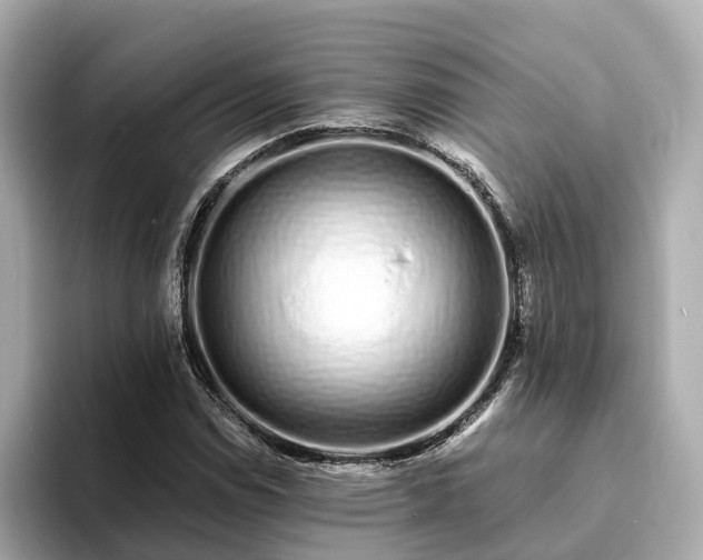 X0000094081114200710261301