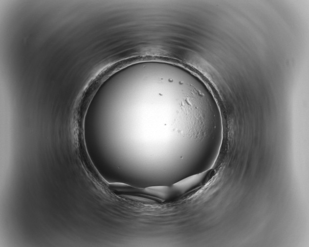 X0000094081115200710261301