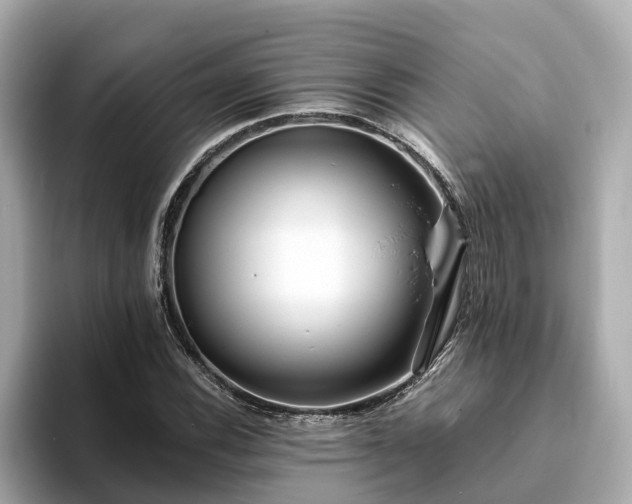 X0000094081116200710261301