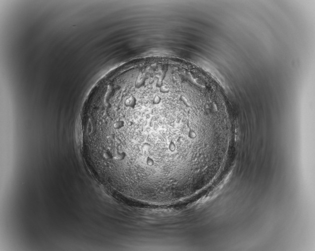 X0000094081117200710261301