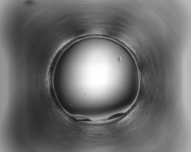 X0000094081119200710261301