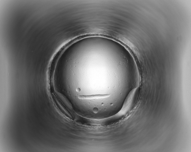 X0000094081120200710261301