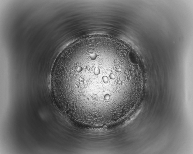 X0000094081121200710261301