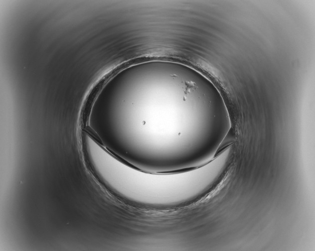 X0000094081122200710261301