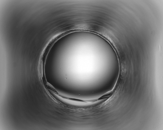 X0000094081123200710261301