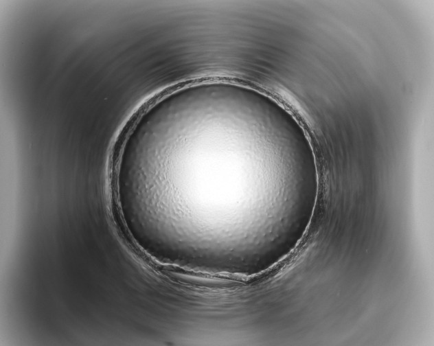 X0000094081124200710261301