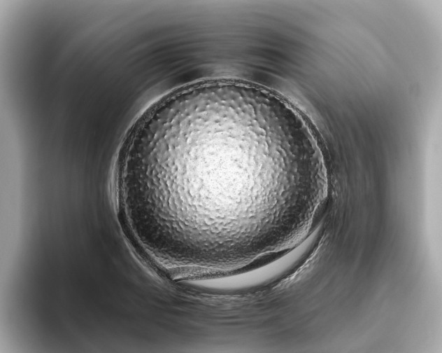 X0000094081127200710261302