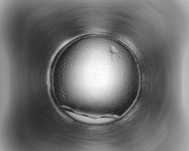 X0000094081128200710261302