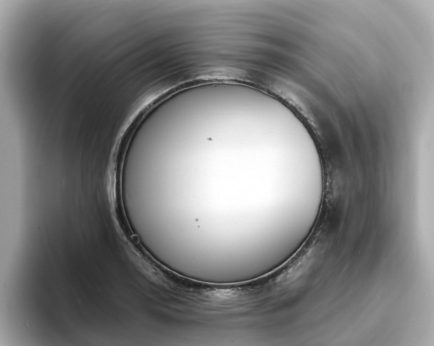 X0000094081130200710261302